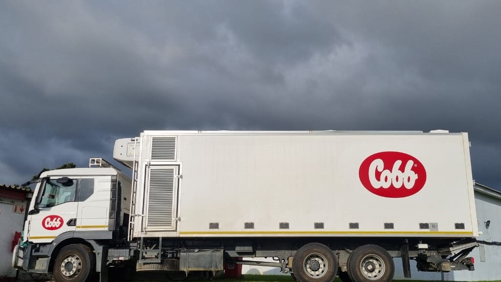 Arrival of the first ever Cobb parent stock placed in Eswatini at Africa Chicks farm in a sealed environmental control vehicle.